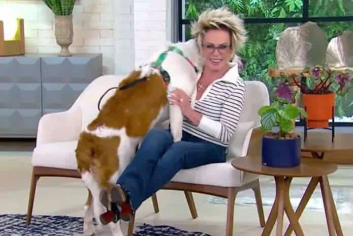 Ana Maria Braga tem dificuldade em controlar seu cachorro ao vivo