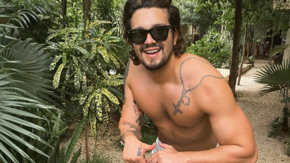 Luan Santana (Foto: Reprodução)
