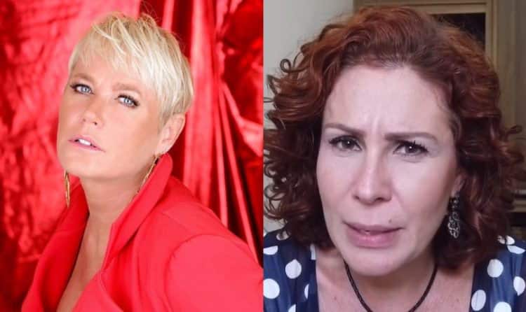 Xuxa Meneghel perde ação judicial contra Carla Zambelli após polêmica de livro com temática LGBTQIA+