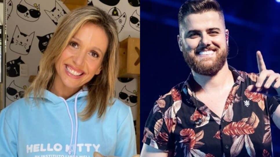 Após ameaça de processo, Luisa Mell volta a criticar Zé Neto: "Rezando por você"(Reprodução)
