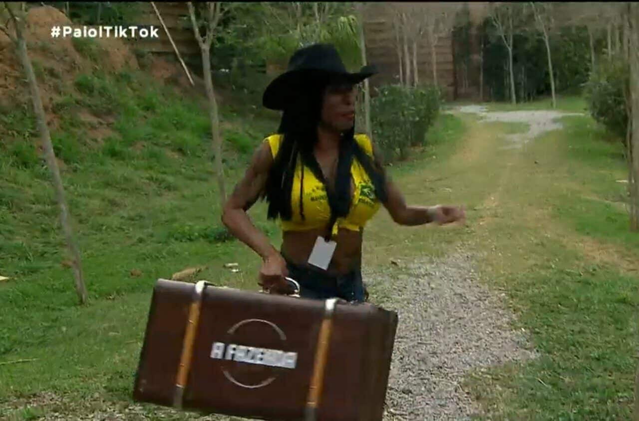 Inês Brasil entrou em A Fazenda (Reprodução/RecordTV)