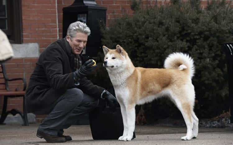 Richard Gere em Sempre ao Seu Lado (Reprodução)