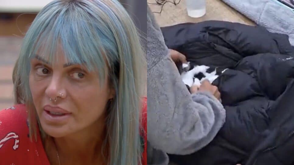 A Fazenda 13: Colocada na parede, Valentina mente três vezes sobre jaqueta de Rico