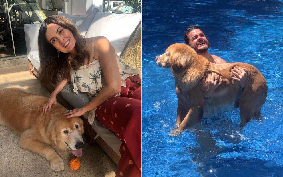 Fátima Bernardes lida com luto por morte de animal de estimação aos oito anos: 'Foi cedo'