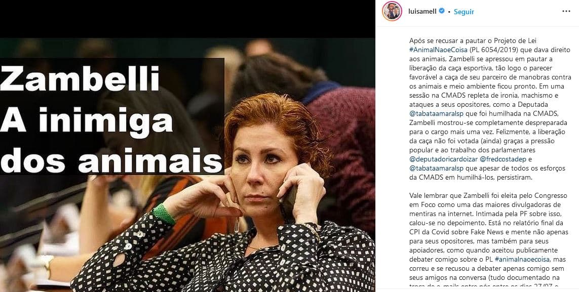 Luisa Mell detona deputada Carla Zambelli (Foto: Reprodução)