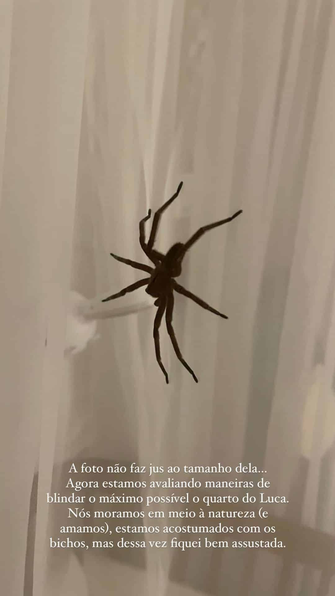 Esposa de Lucas Lucco encontra aranha gigante no berço do filho pequeno (Reprodução/Instagram)