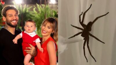 Imagem do post Esposa de Lucas Lucco encontra aranha gigante no berço do filho pequeno