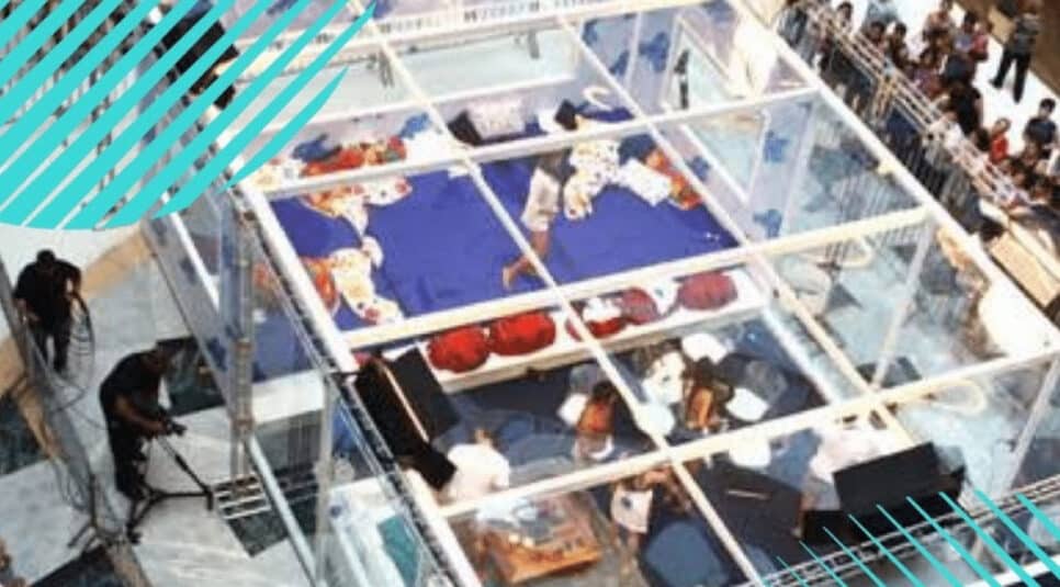 Casa de Vidro está de volta no BBB22 (Foto: Reprodução / Internet)