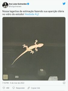 A apresentadora se pronunciou no Instagram sobre a invasão do bicho no RJ2 da Globo (Foto: Reprodução / Twitter)