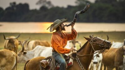 Audiências 29/03/22: Pantanal vira sucesso da Globo e Ratinho sofre (Foto: Reprodução)