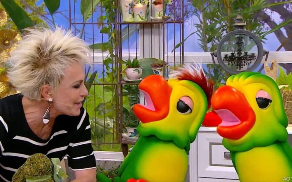 Ana Maria Braga coloca ponto final em mistério do filho de Louro José (Reprodução)