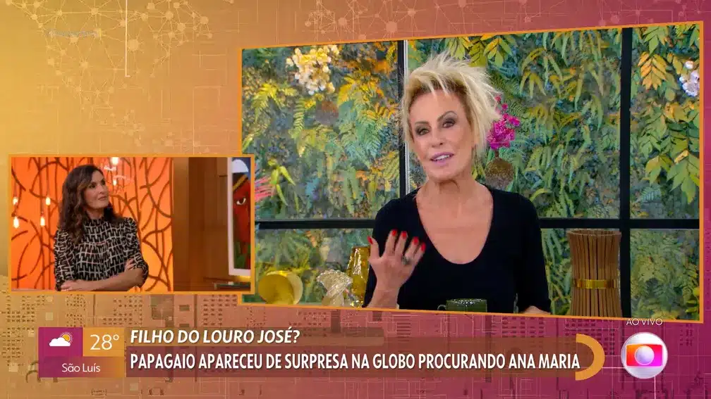 Ana Maria Braga faz ‘hora extra’ na Globo e solta o verbo sobre retorno de Louro José (Reprodução)