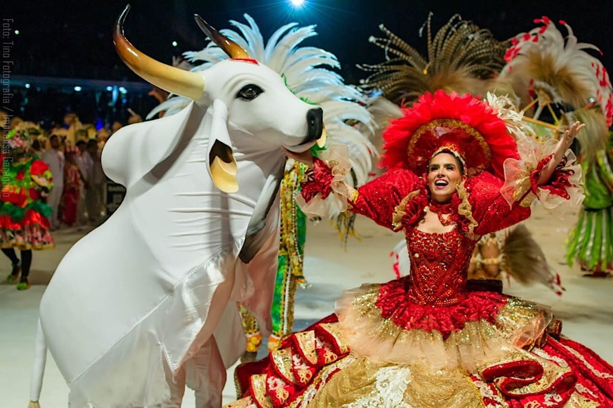 Apresentação do Boi Garantido, no Festival Folclórico de Parintins