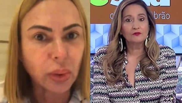 Mulher de Stênio Garcia critica Sonia Abrao (Foto: Reprodução)
