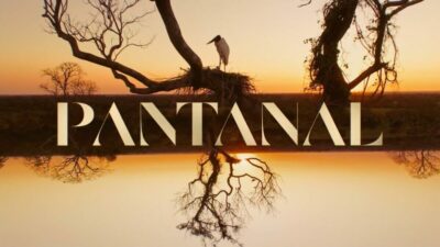 Imagem do post Pantanal: Confira mudanças no remake na reta final da trama