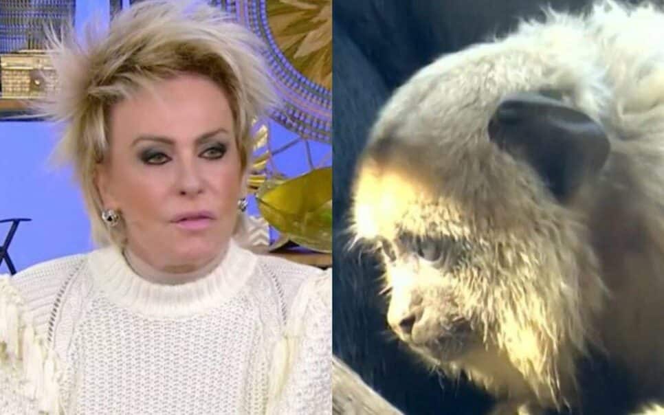 Cátia Fonseca avalia pedido de desculpas de Ana Maria Braga
