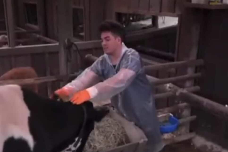 A Fazenda: Público se revolta e pede expulsão de peão à Record após comportamento com animais, Foto: Reprodução/Internet