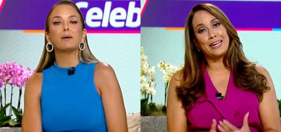 Ticiane Pinheiro e Renata Alves encararam barraco ao vivo (Foto: Reprodução)