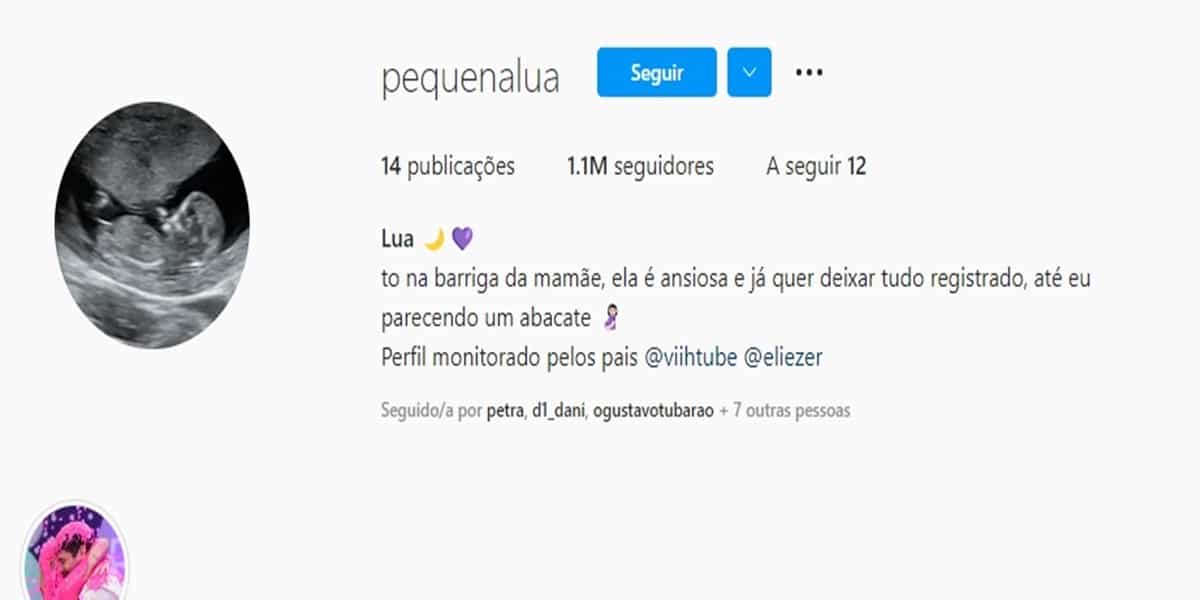 Viih Tube recebe críticas de internautas por criar perfil para filha (Imagem Reprodução Internet)