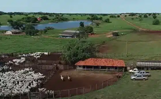 Vista de cima da propriedade (Foto Reprodução/Internet)