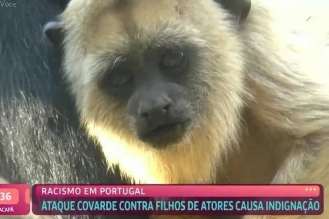 Vídeo trocado repercutiu mal pelo público (Foto Reprodução/Globo)