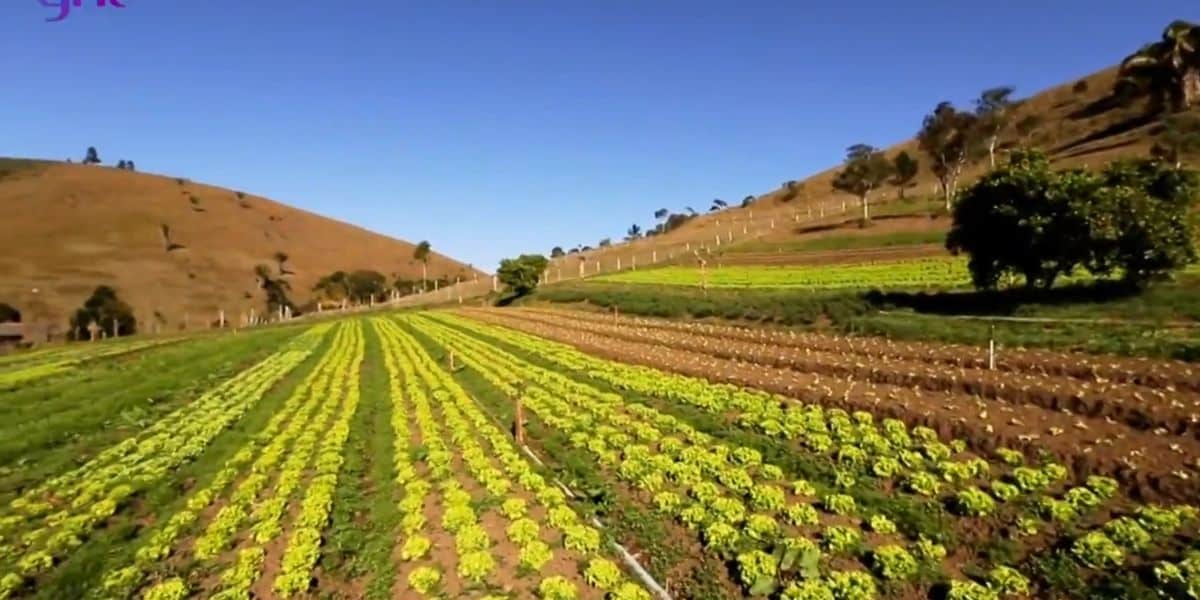 Horta da Fazenda (Foto Reprodução/Internet)