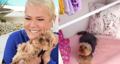 Xuxa polemizou ao mostrar quarto de cachorra (Foto: Reprodução)