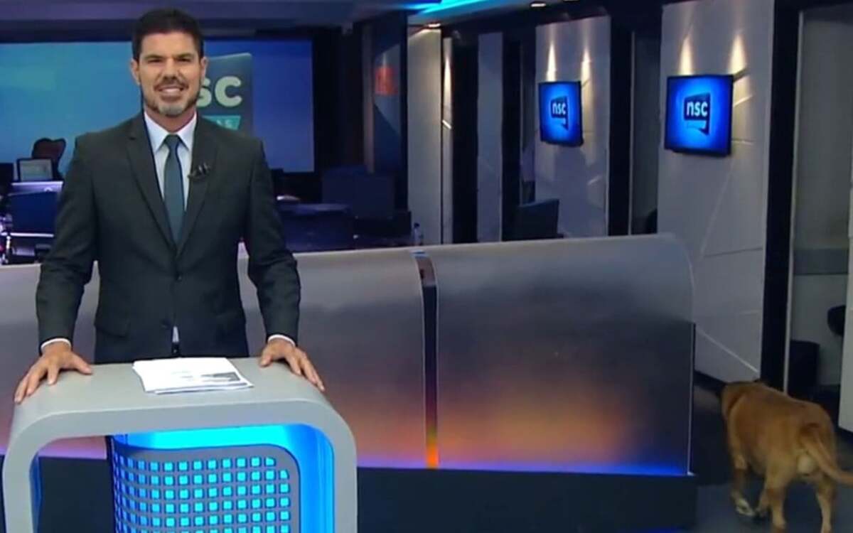 Jornal NSC da Rede Globo