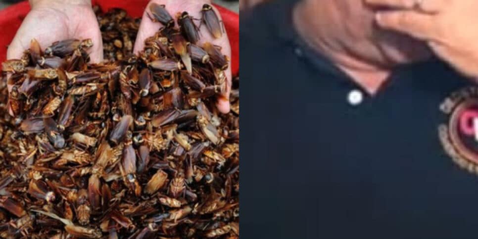 Ator da Globo, que caiu em armadilha, hoje mata baratas pra conseguir sobreviver: "Paguei caro" (Foto Reprodução/Montagem/Aaron Tura Tv)