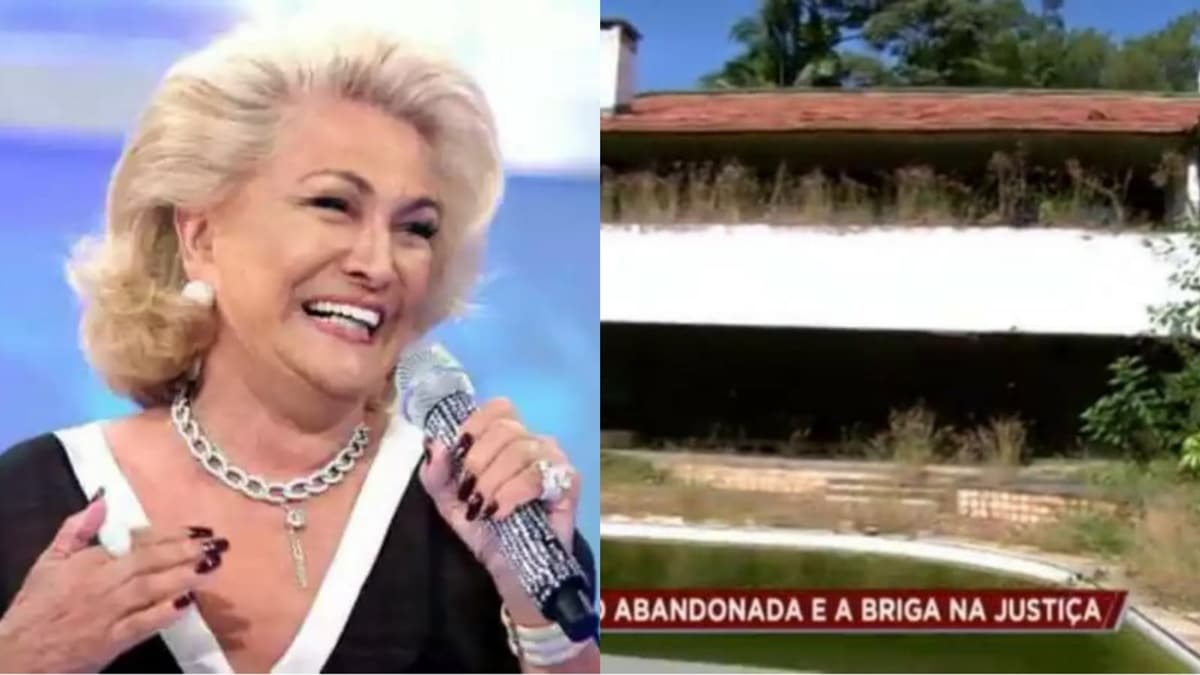 Mansão que Hebe Camargo morou com Lélio está em ruínas