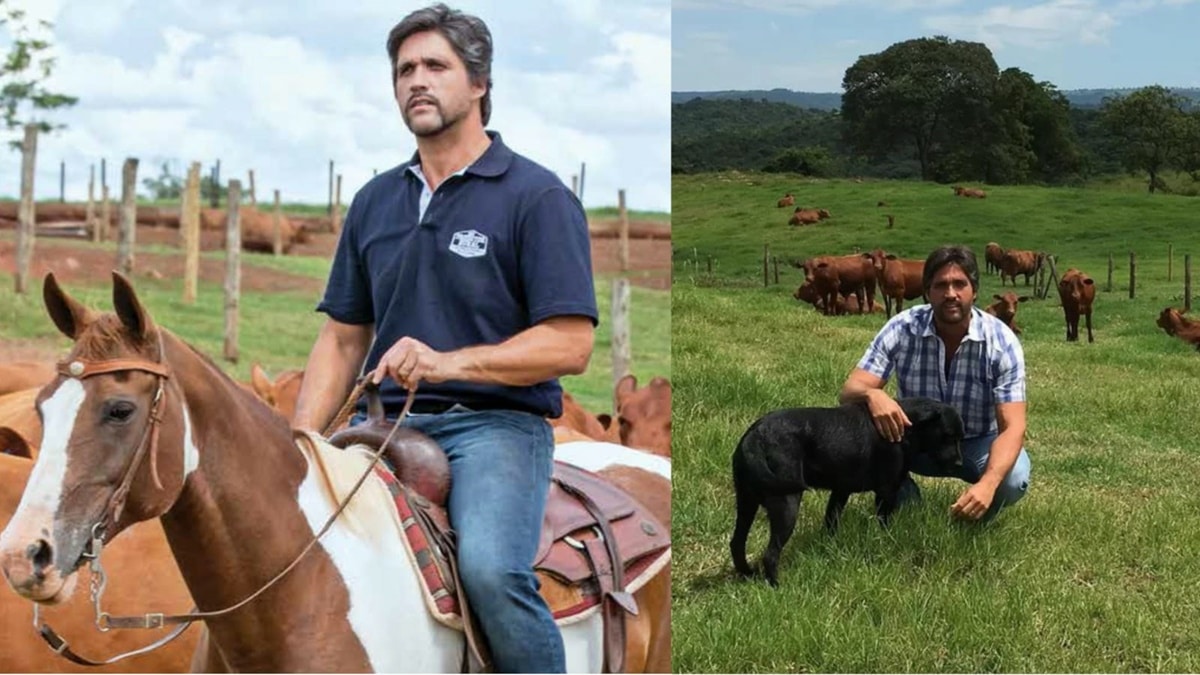 Leo Chaves montado à cavalo e com novilho em sua fazenda