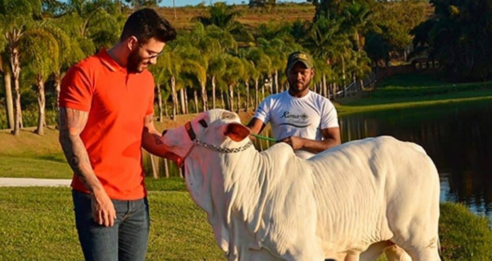 Gusttavo Lima em sua fazenda