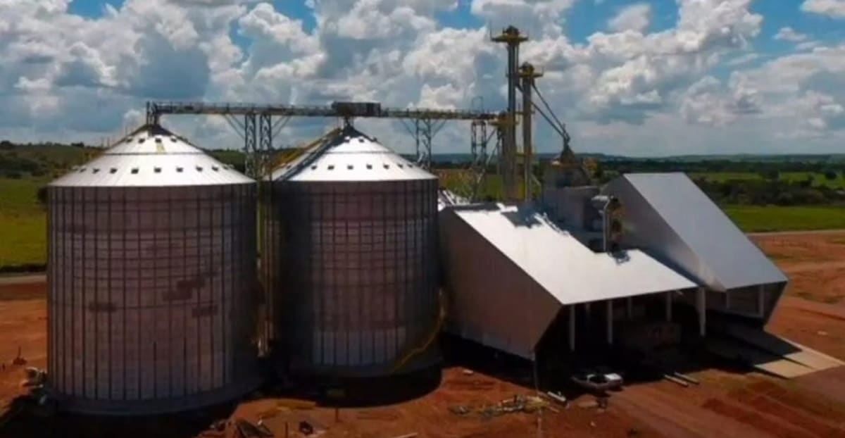 O cantor investe em soja na fazenda milionária 