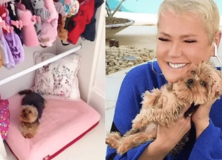 A famosa ex-apresentadora da Globo, Xuxa Meneghel ao lado de sua cachorrinha Doralice (Foto: Montagem)