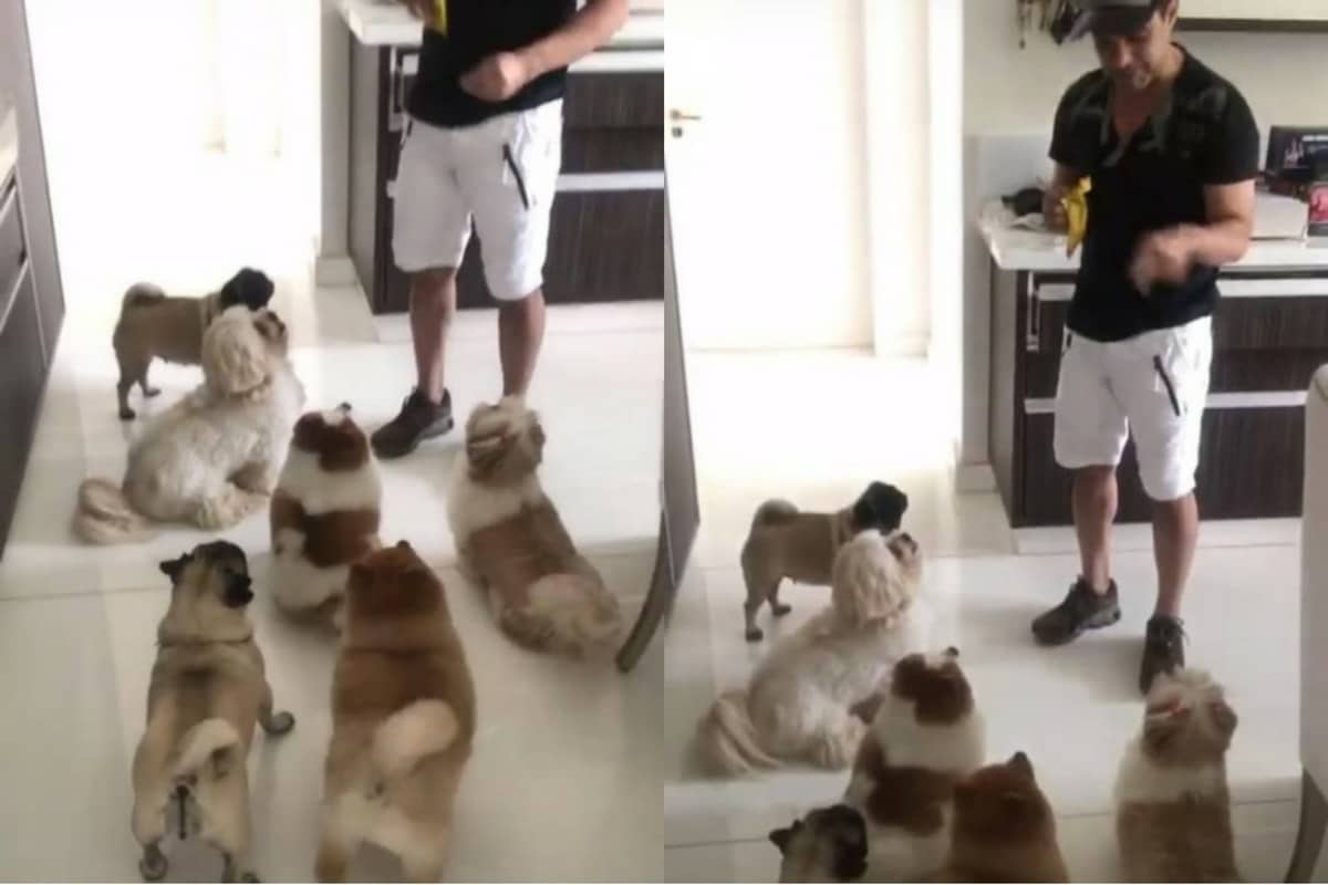 O cantor em casa alimentando seus 6 cachorrinhos