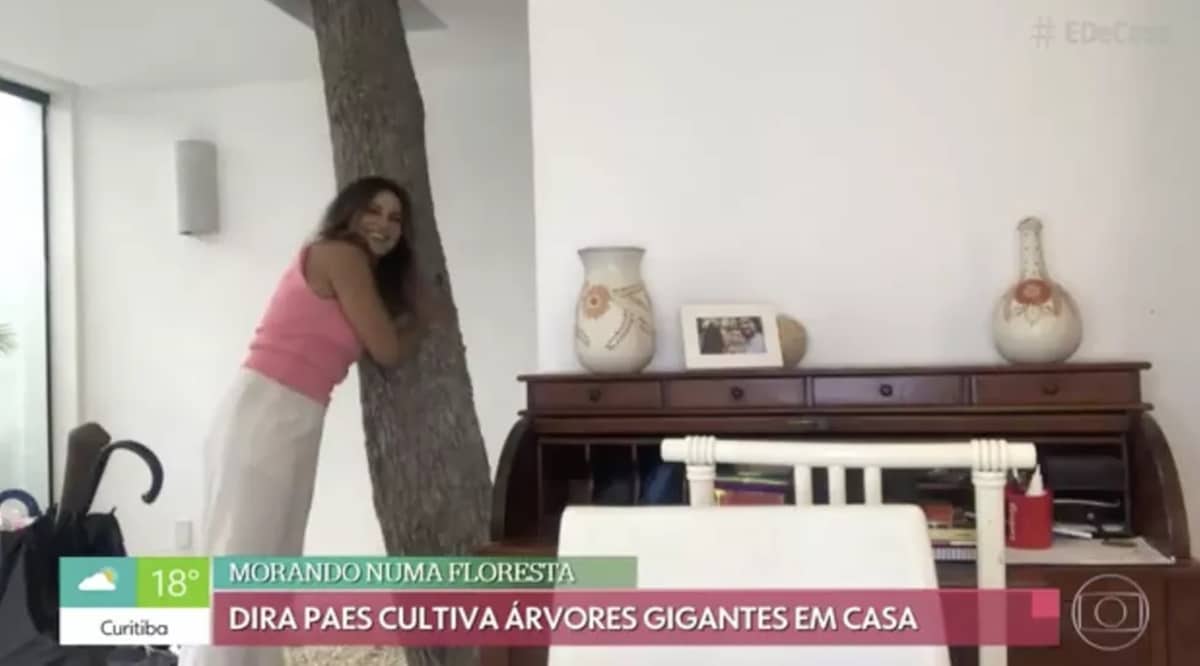 Dira Paes, na maior humildade, abriu as portas de sua casa com árvore dentro do cômodo