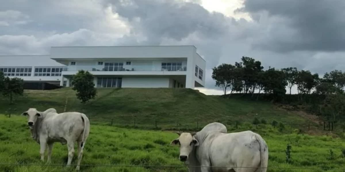 Mansão e gados da dupla sertaneja