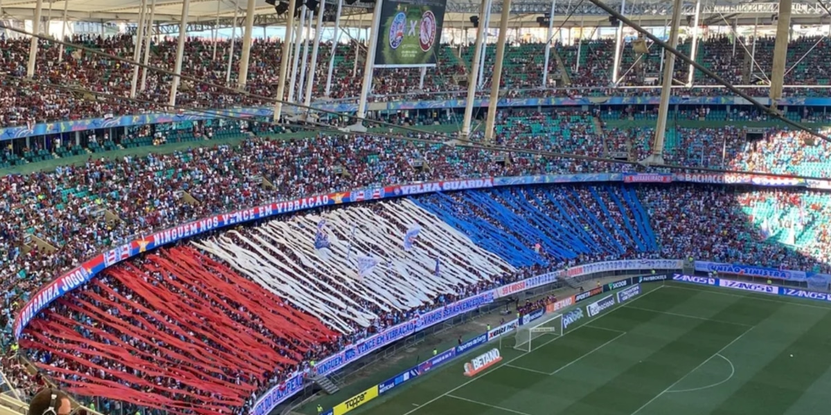 Técnico do Bahia, elogia atuação da torcida na final do campeonato (Imagem Reprodução Internet)