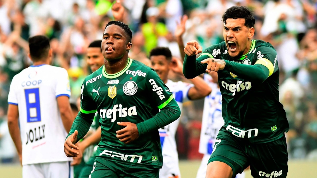 Endrick marcou seu primeiro gol da temporada e foi quem salvou o Palmeiras de uma vergonha 