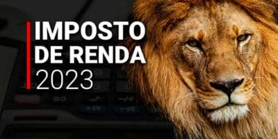 Imagem do post Imposto de Renda 2023: saiba mais detalhes de como emitir o carnê-leão