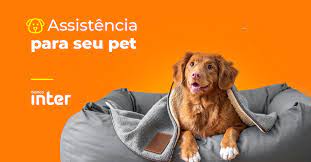 Banco anuncia parceria com a Petlove (Foto: Reprodução)