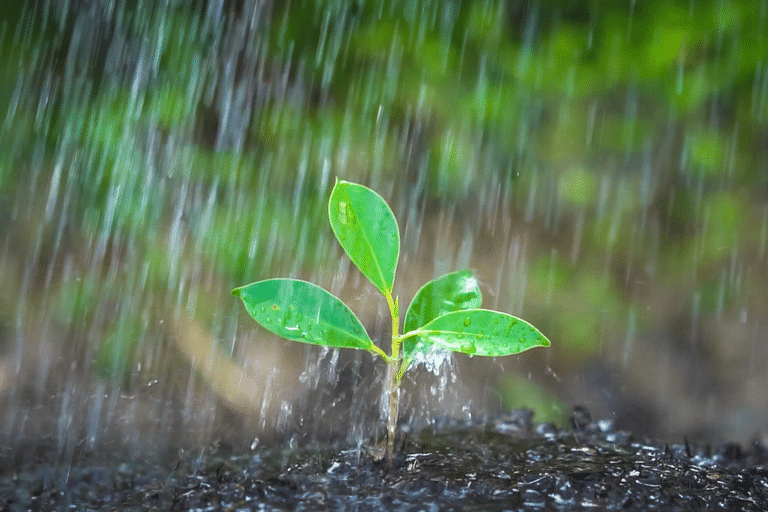 Chuva deve vir com força total na próxima semana em todo o país (Imagem: Reprodução)