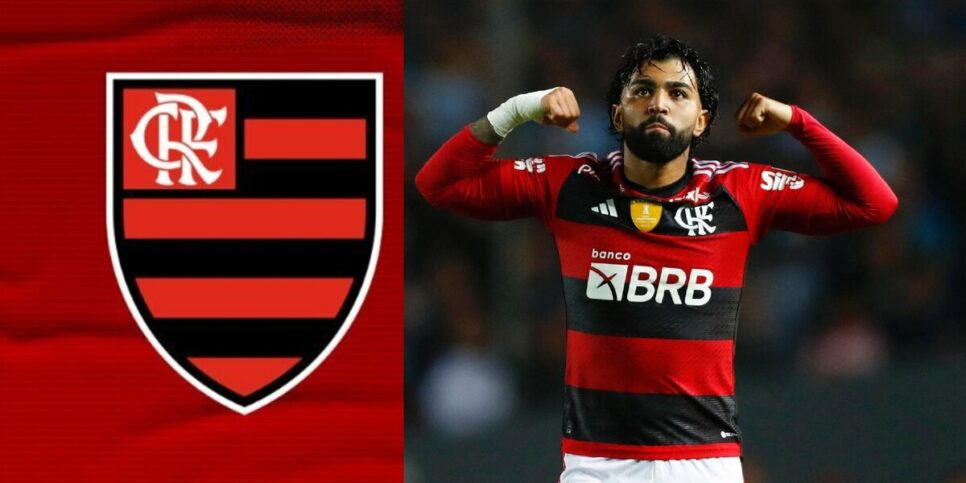 Gabigol é craque do Flamengo (Foto: Reprodução / Internet)