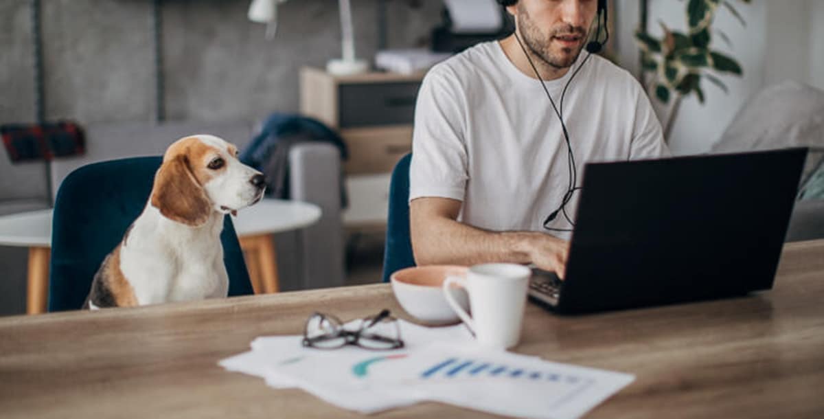 Homem no conforto do lar, com cachorro ao lado, trabalhando na modalidade do Home Office