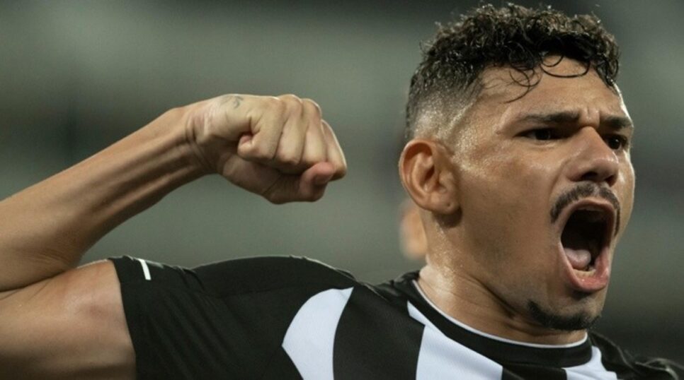 Tiquinho Soares é recusado pelo Corinthians e vai para o Botafogo (Foto: Reprodução)