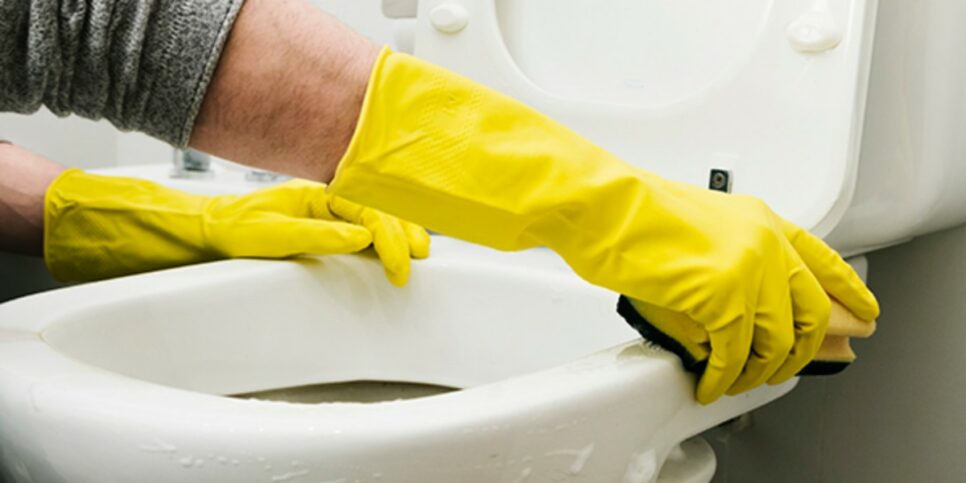 Saiba como usar o vinagre no vaso sanitário