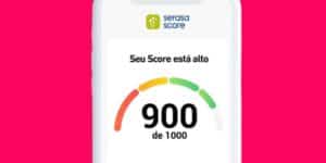 Score do Serasa (Imagem Reprodução Internet)