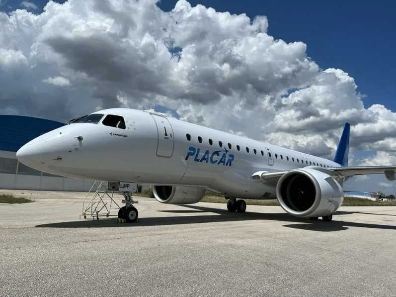 A presidente do Palmeiras comprou um avião exclusivo para o clube (Foto: Reprodução)