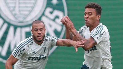 Imagem do post Palmeiras toma uma importante decisão sobre o destino de jogador que conquistou a Libertadores