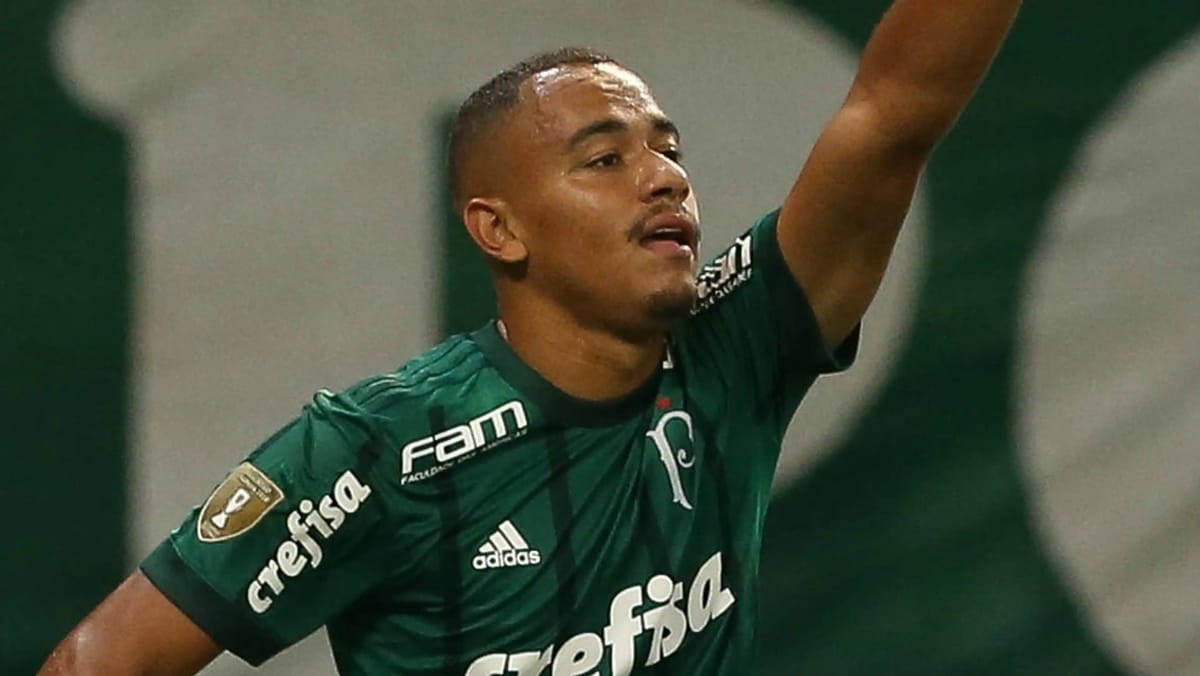 Rafael Papagaio foi emprestado pelo Palmeiras a time árabe (Foto: Reprodução/ Cesa Greco/ SEP)